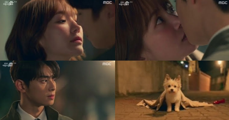 A Good Day to Be a Dog Episode 1 Park Gyu Young Kisses Cha Eun Woo And Turns Into A Dog