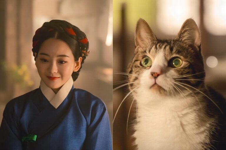 New Stills Of Cho Yi-hyun Talking To A Cat In "The Matchmakers" Episode 11 Has Been Released